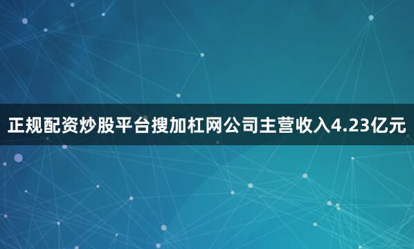 正规配资炒股平台搜加杠网公司主营收入4.23亿元